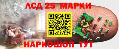 стаф Будённовск