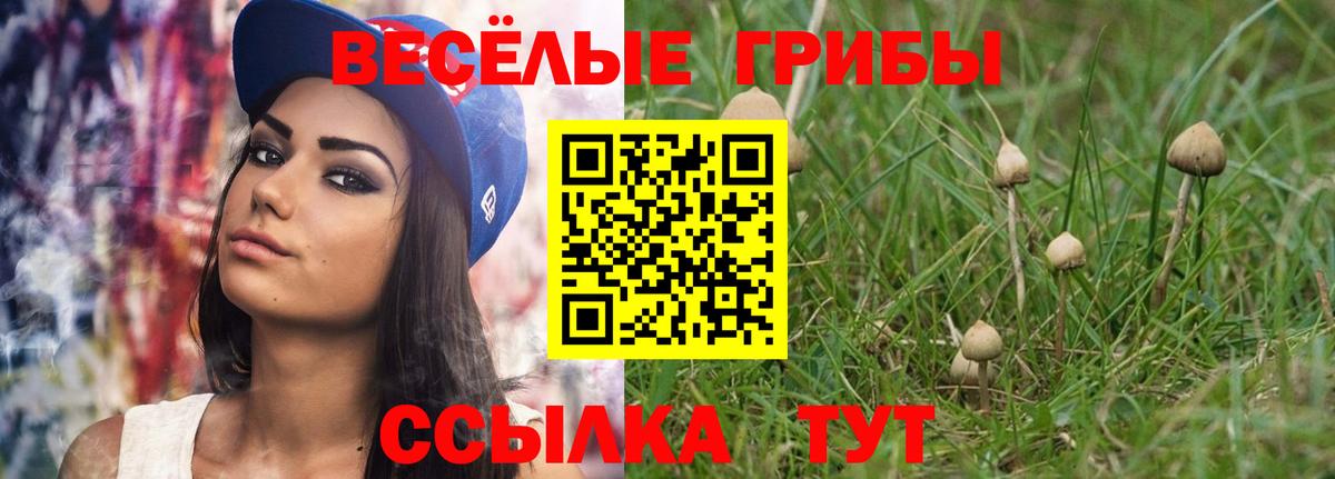 Галлюциногенные грибы Magic Shrooms  Вход с VPN  наркота  Реж 